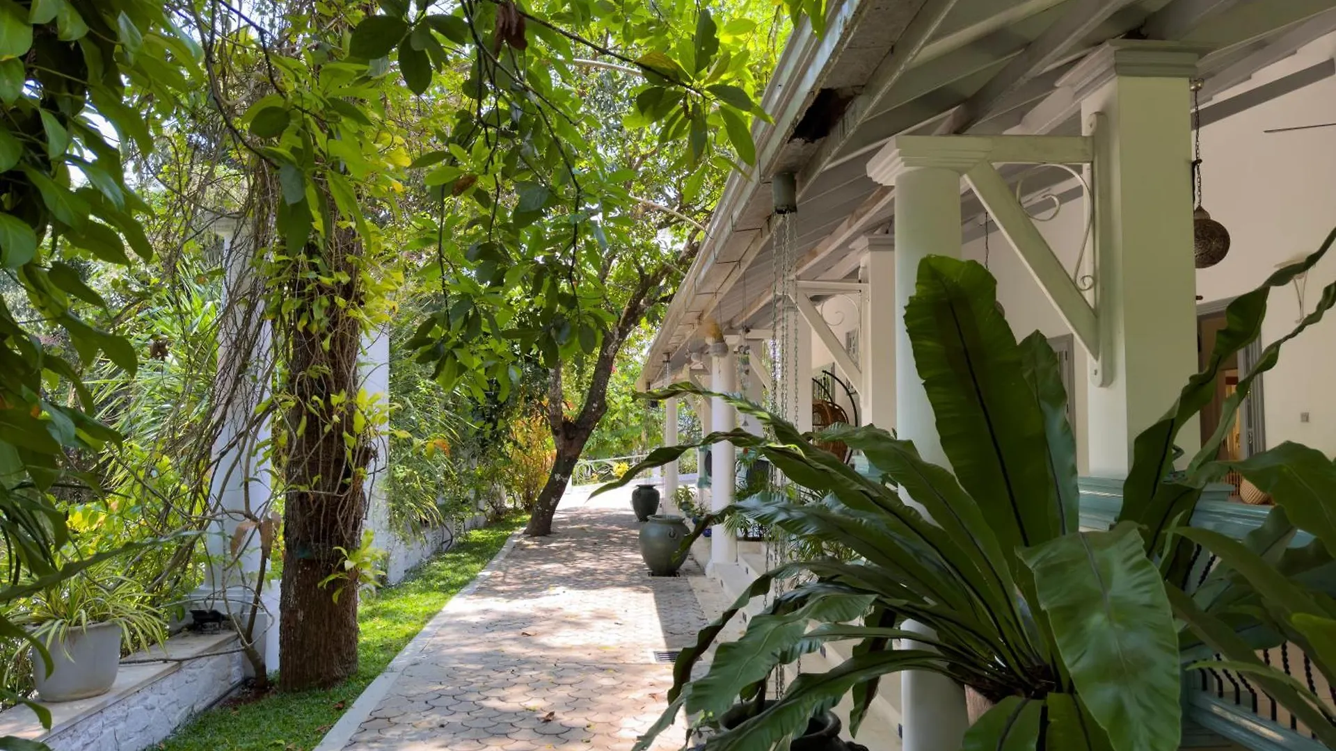 Fairy Cottage Kandy 0*,